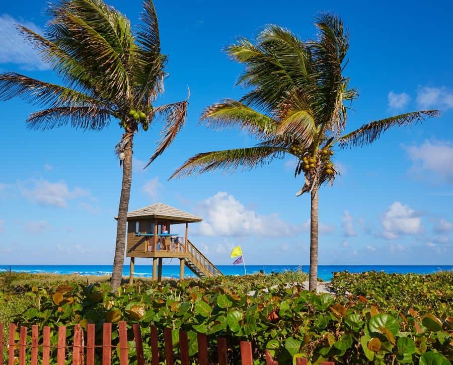 A beach hut surrounded by palm trees on Florida's East Coast beaches: a cheap weekend getaway destination.