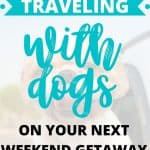 An image of a dog in a car with the text overlay Tips for traveling with dogs on your next weekend getaway.