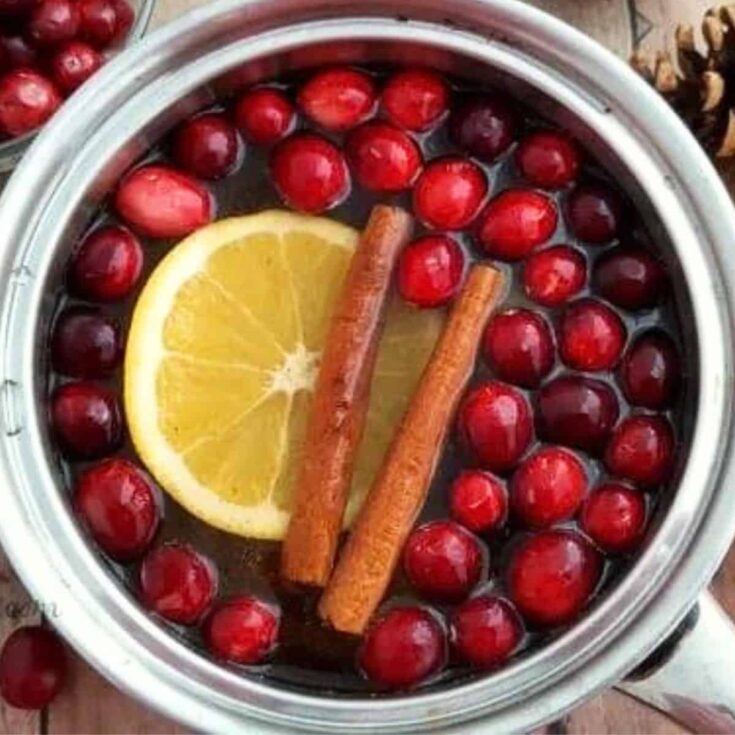 DIY potpourri&nbsp;Christmas simmer pot with cinnamon, lemon slice, and berries