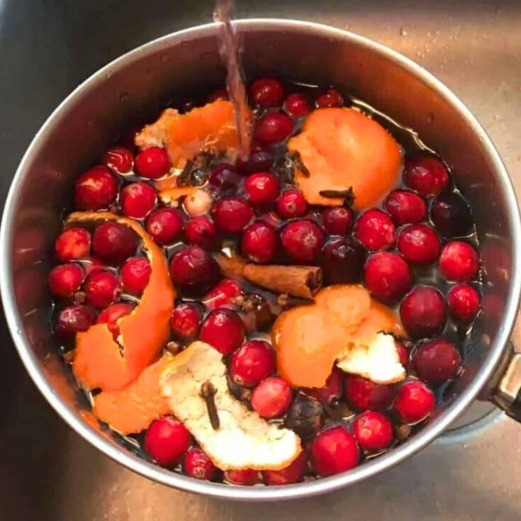 Homemade holiday Christmas simmer pot with orange peels, berries, and cinnamon