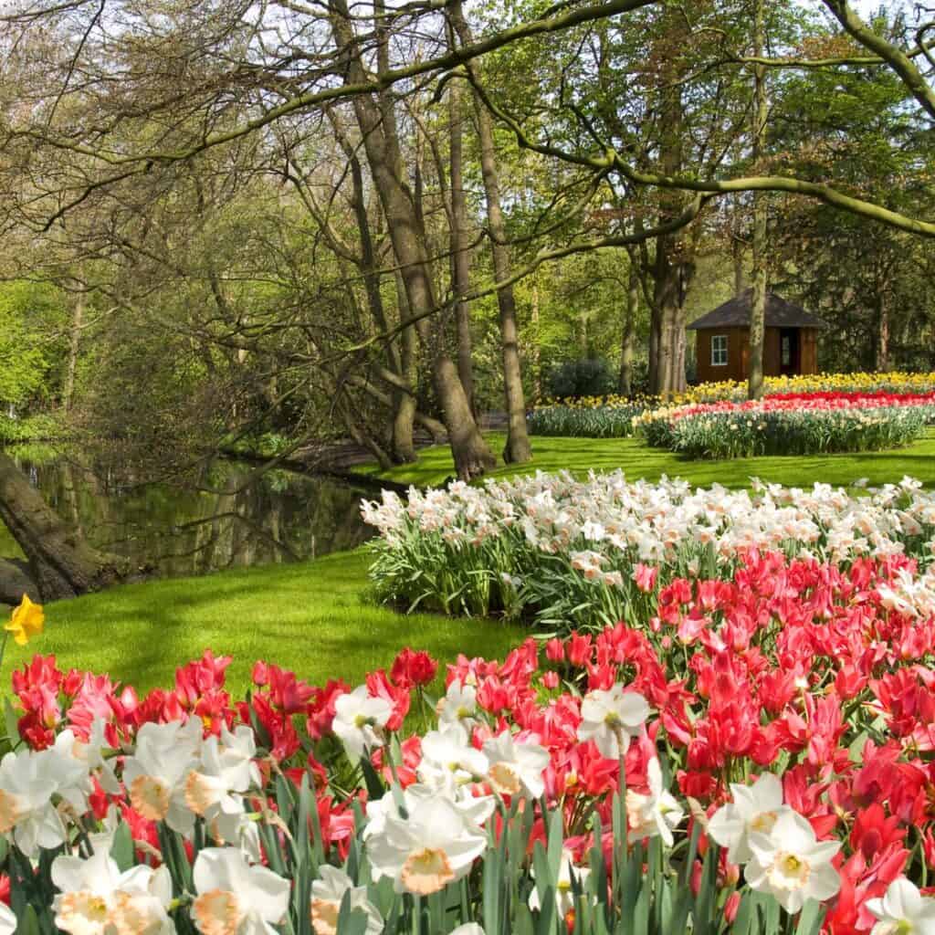 A public garden fill of flowers: a free Spring date idea