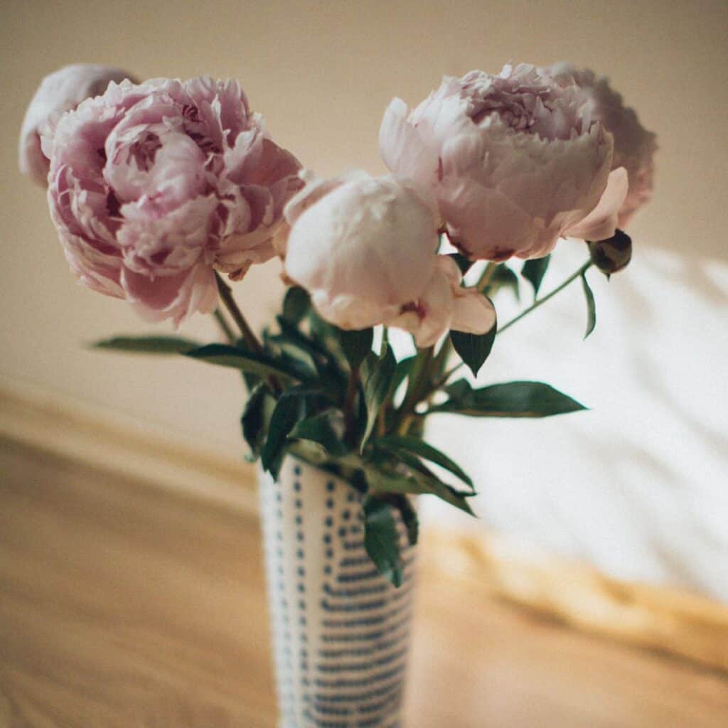 Set of flowers in a nice vessel perfect to give as anniversary flowers