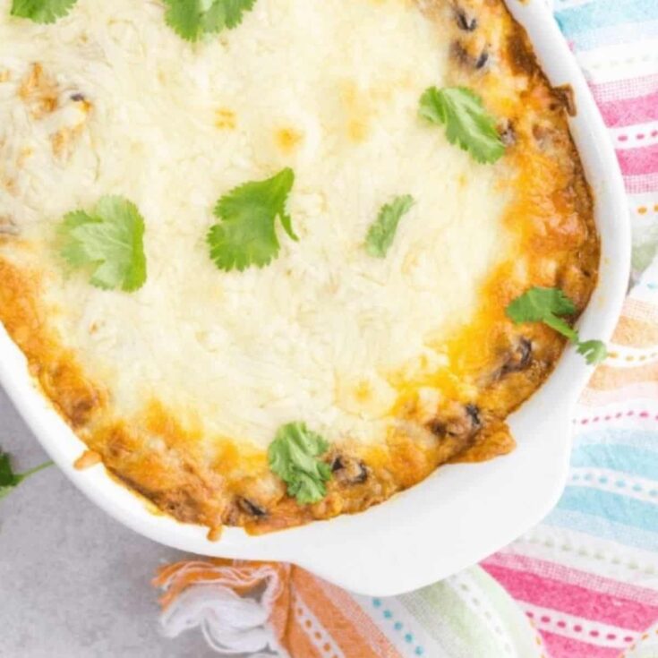 Chicken enchilada dip perfect as Super bowl appetizer