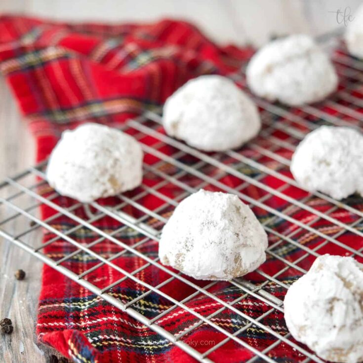 A set of November square perfect to serve as Christmas cookies