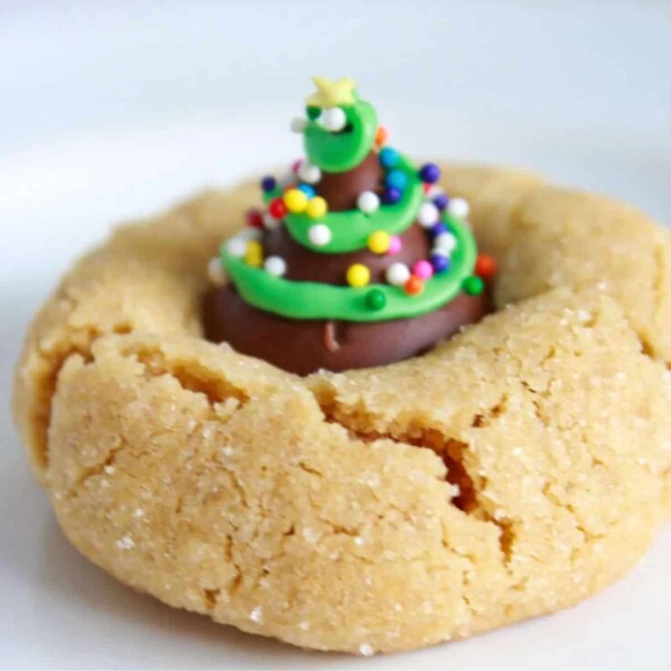 Peanut butter blossoms perfect to serve as Christmas cookies