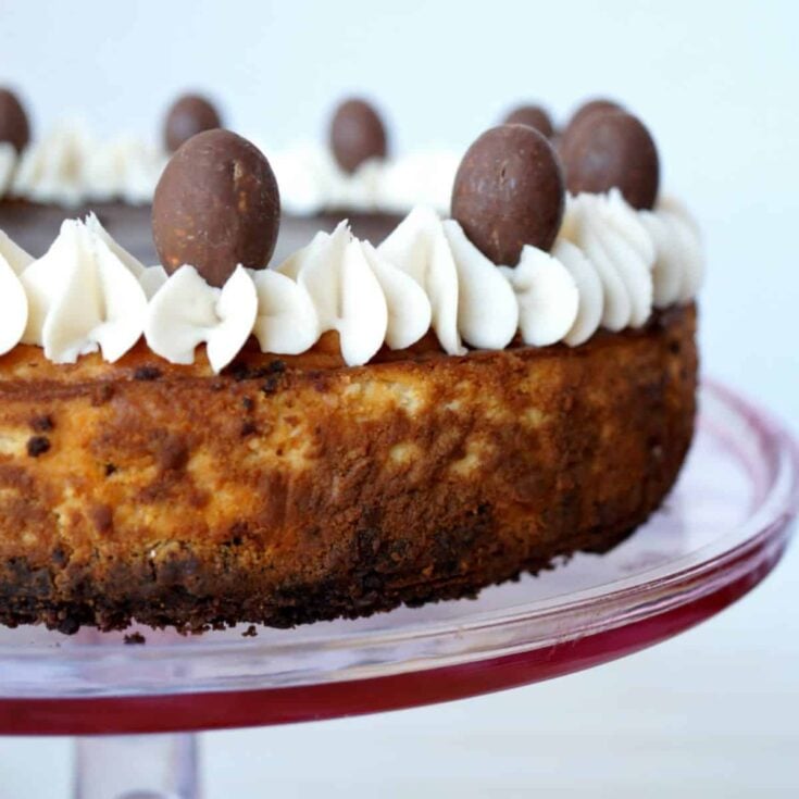 A butterfinger cheesecake served on the table