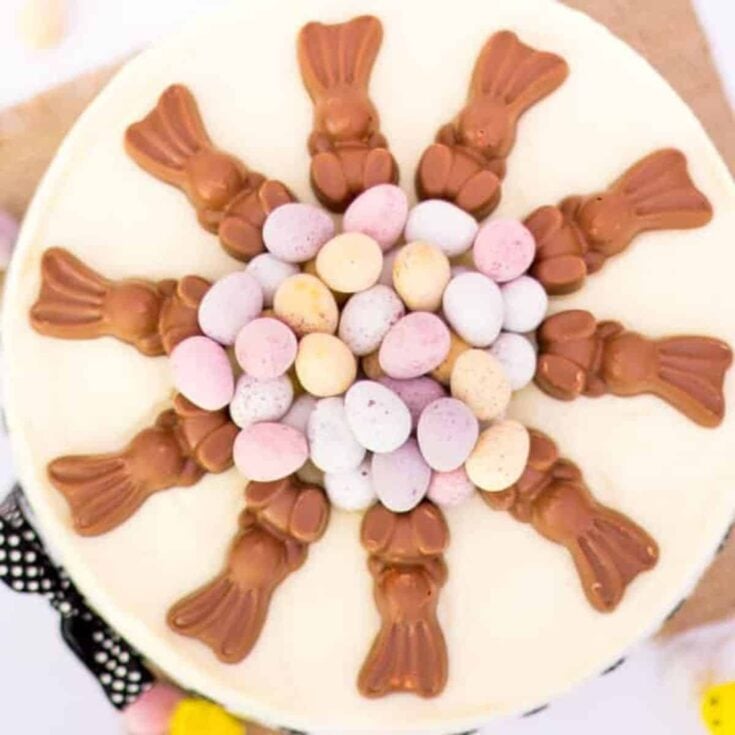 A chocolate easter cheesecake served on the table