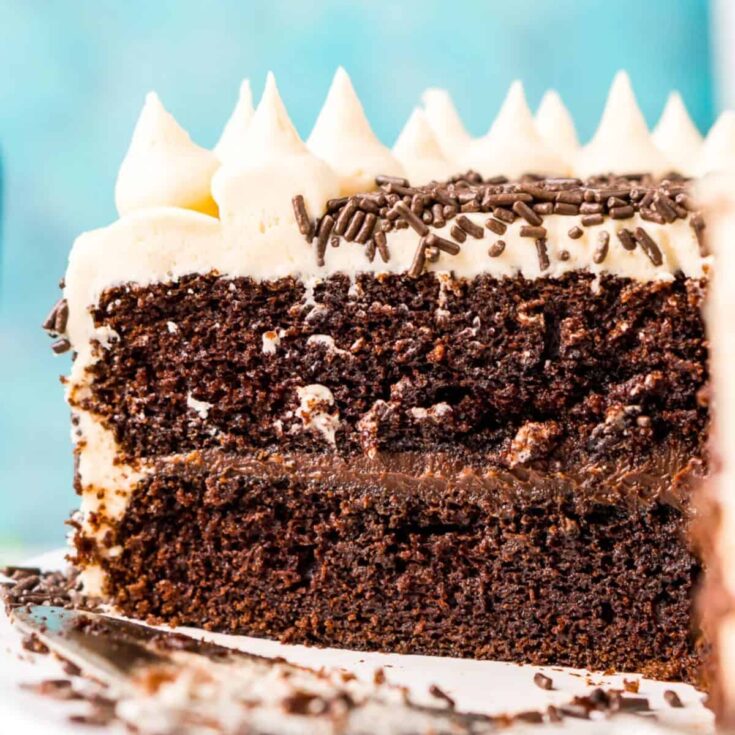 A slice of chocolate Guinness cake