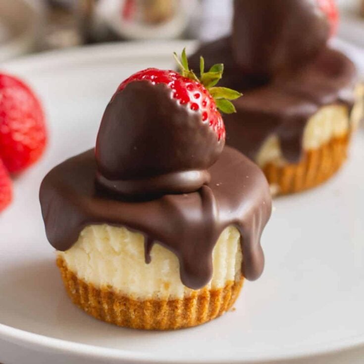 An appetizing set of chocolate covered strawberry mini cheesecakes