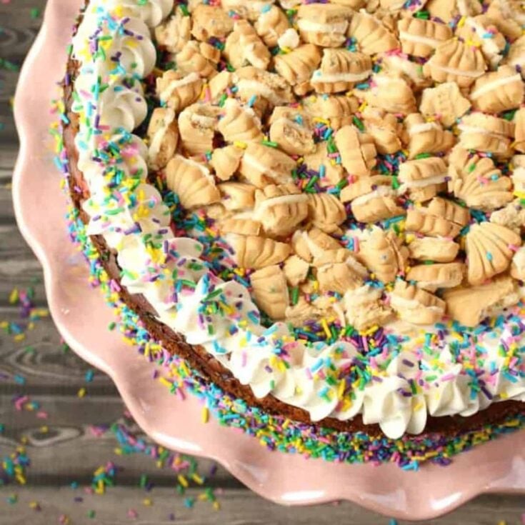 An appetizing Funfetti cheesecake served on the table