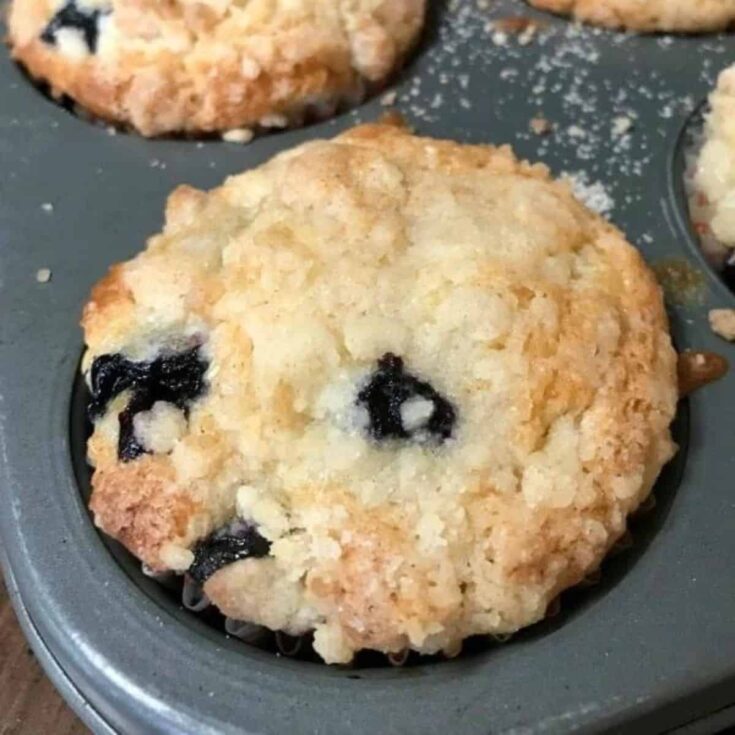 A dish of farmhouse style blueberry muffins
