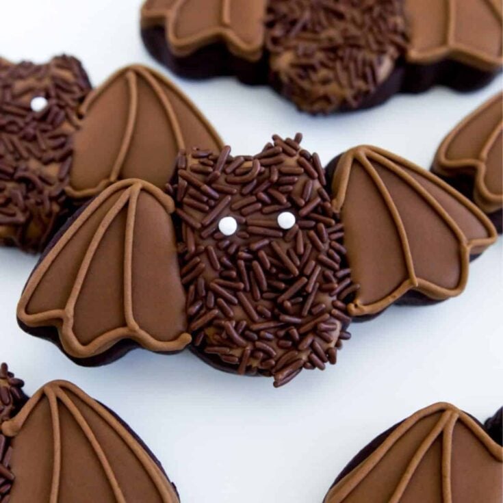 A set of cute hairy bat Halloween cookies