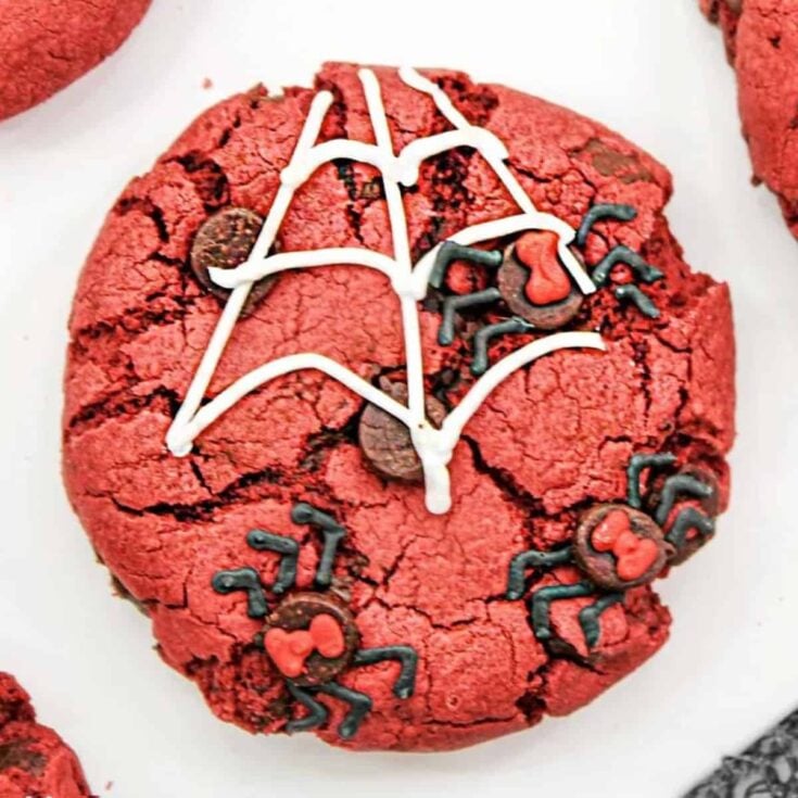 A red velvet Halloween spider cookie