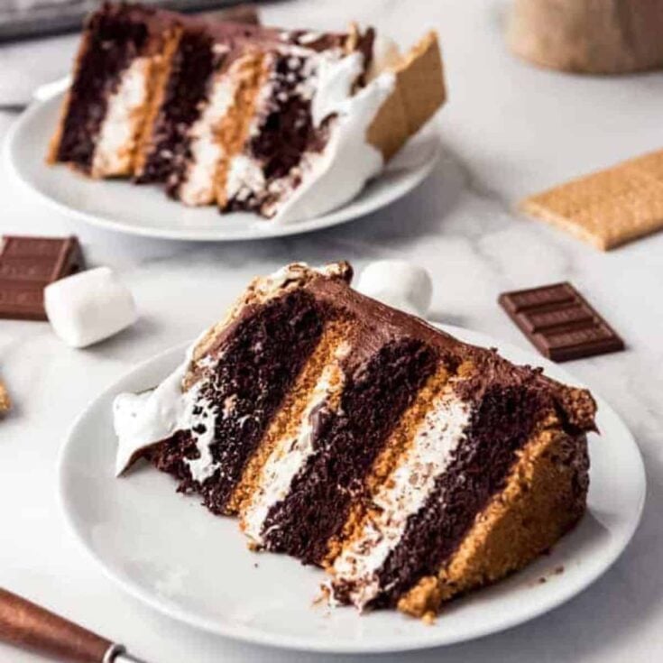 A slice of s'mores cake baked after reading these s'mores recipes