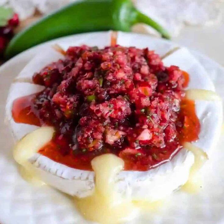 Cranberry salsa cooked after reading these Thanksgiving appetizers