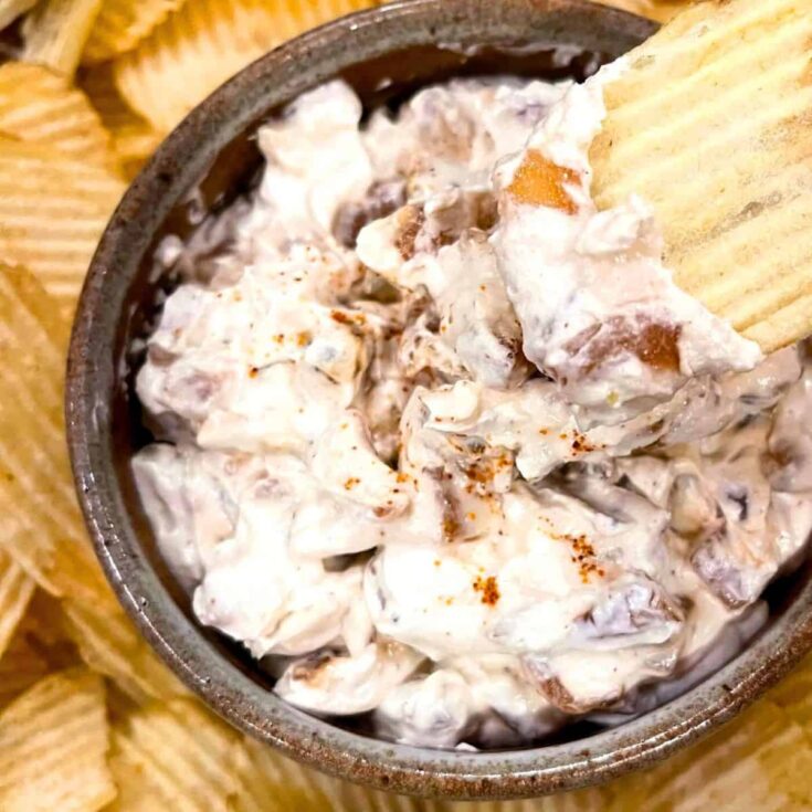 A bowl of caramelized onion dip, prepared after reading these summer appetizers recipe