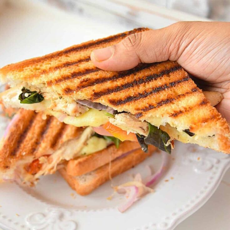 Chicken Mozzarella Basil Panini cooked after reading these Picnic food ideas