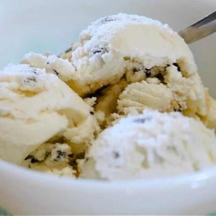 A bowl of Chocolate chip cookie dough homemade ice cream