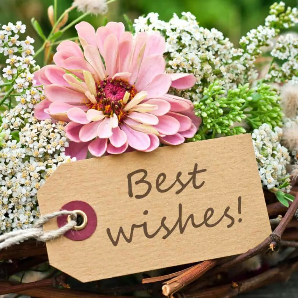 A best wishes tag along with some beautiful flowers perfect to give as one of the wedding wishes for your son and daughter in law