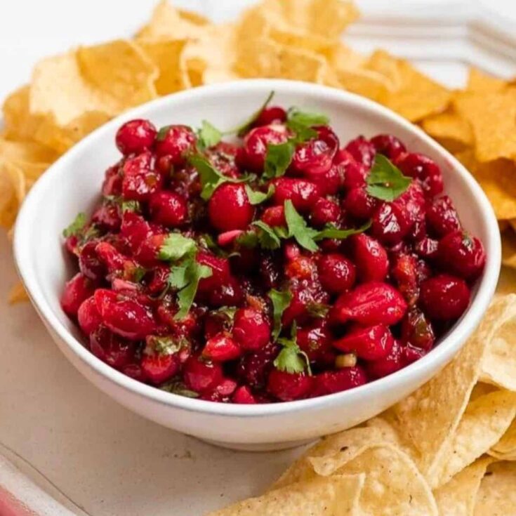 A bowl of cranberry salsa prepared after reading these Fall appetizers recipe