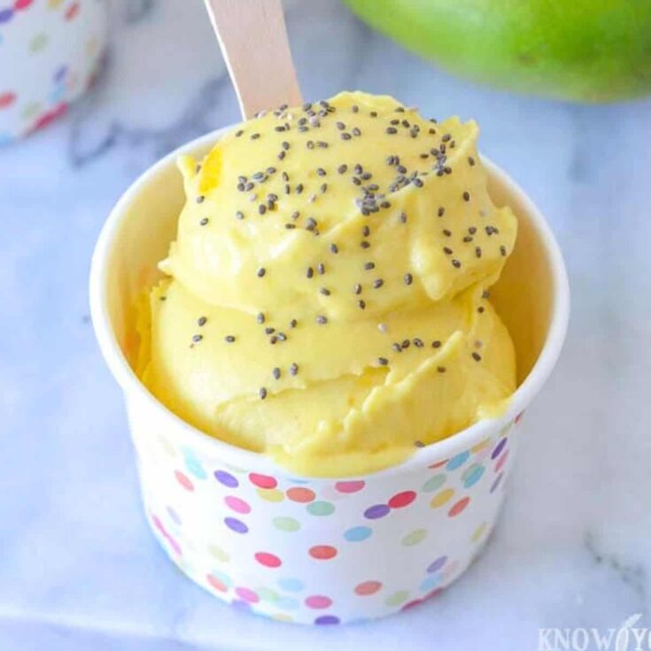 A small cup of creamy mango homemade ice cream