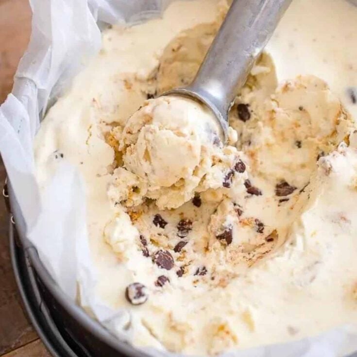 A tub of creamy no churn s'mores ice cream, prepared after reading these homemade ice cream