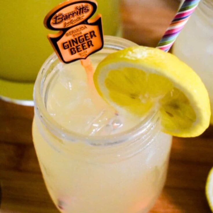 A mug of Fizzy honey ginger lemonade Summer mocktail