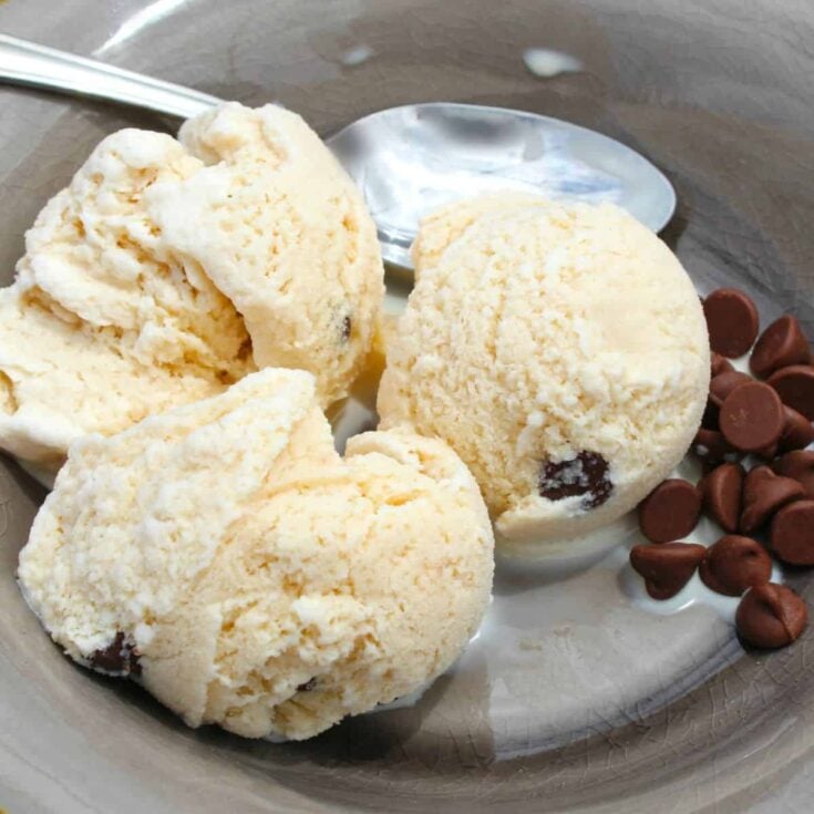 A bowl of coffee ice cream with chocolate chips prepared after reading these homemade ice cream