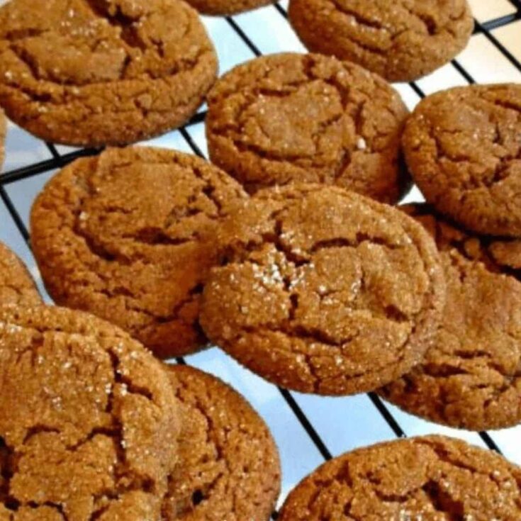 Old fashioned soft molasses cookies dessert baked after reading these Picnic food ideas