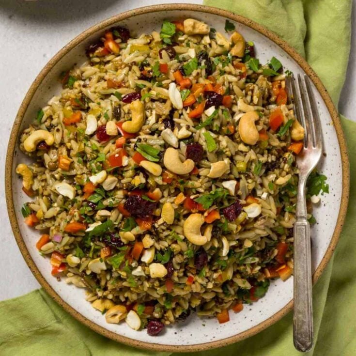 An appetizing plate of Orzo and wild rice salad, prepared after reading these Summer salad recipes