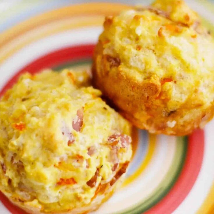 Savory ham, carrot and cheese muffins cooked after reading these Picnic food ideas