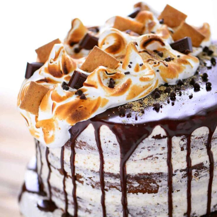 S'mores cake with marshmallows and chocolate on top, baked after reading these s'mores recipes