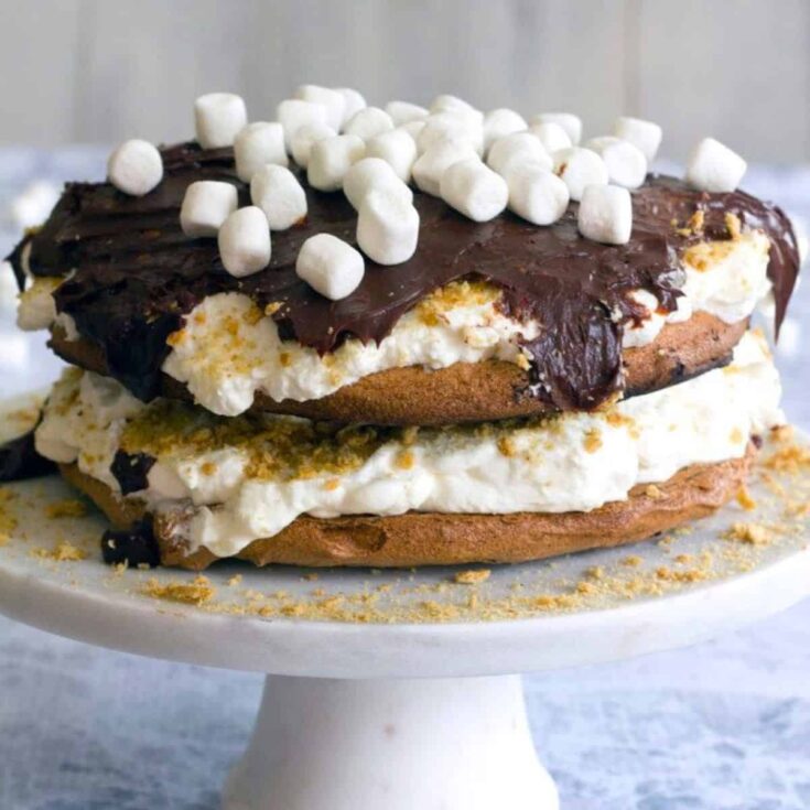 S'mores pavlova prepared after reading these s'mores recipes