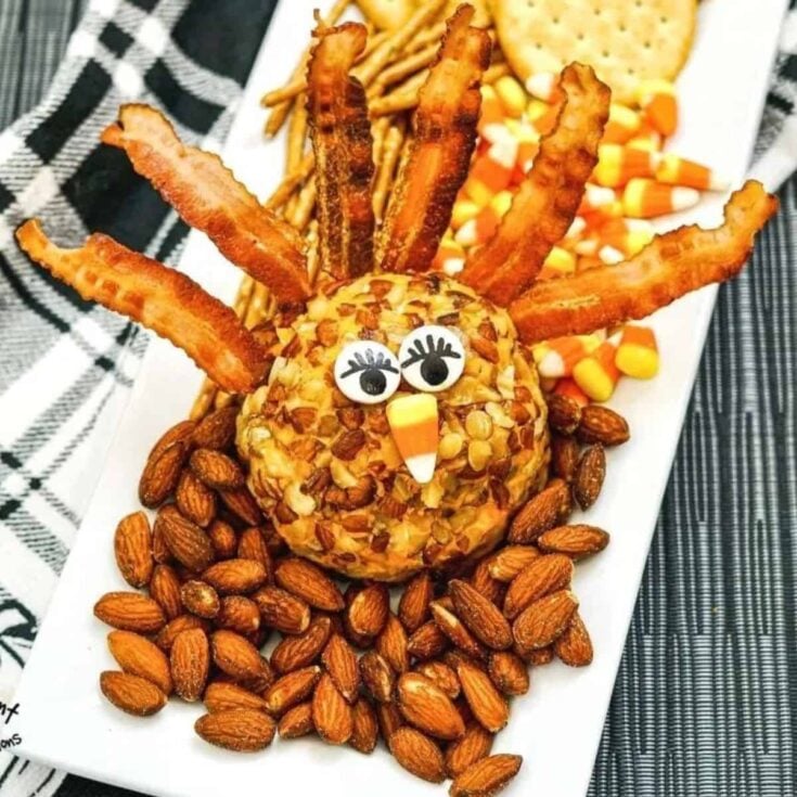 Thanksgiving turkey cheese ball with bacon and nuts, cooked after reading these Thanksgiving appetizers