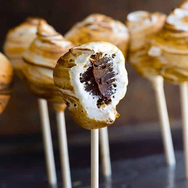 Toasted s'more truffle pops prepared after reading these s'mores recipes