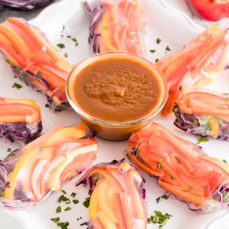 A set of vegan summer rolls with peanut sauce prepared after reading these summer appetizer recipes