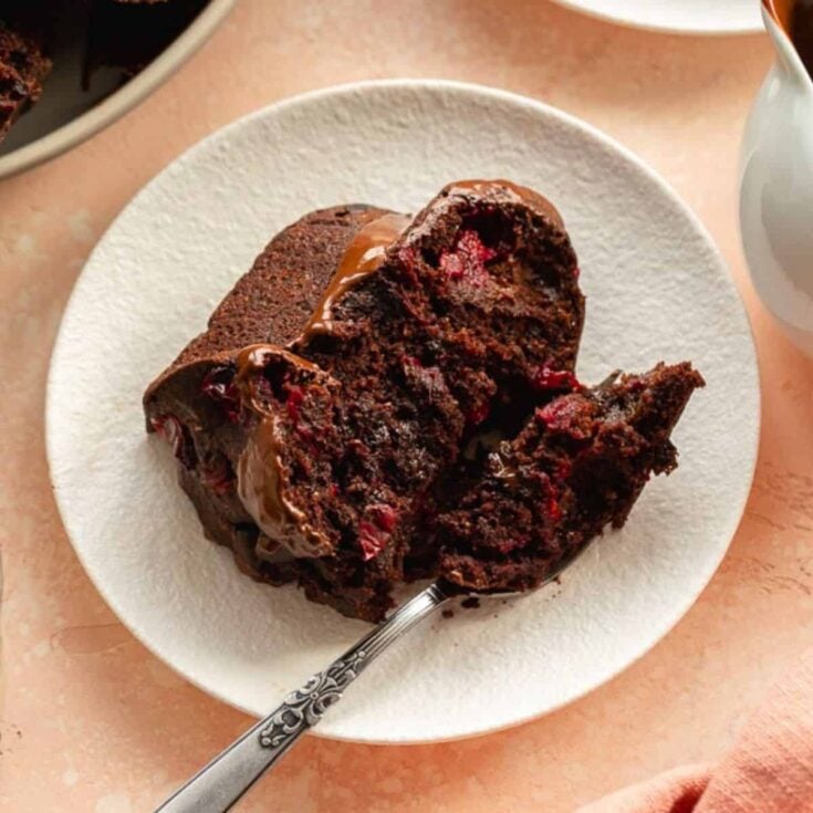 A plate of chocolate cranberry cake baked after reading these Chocolate Thanksgiving Desserts