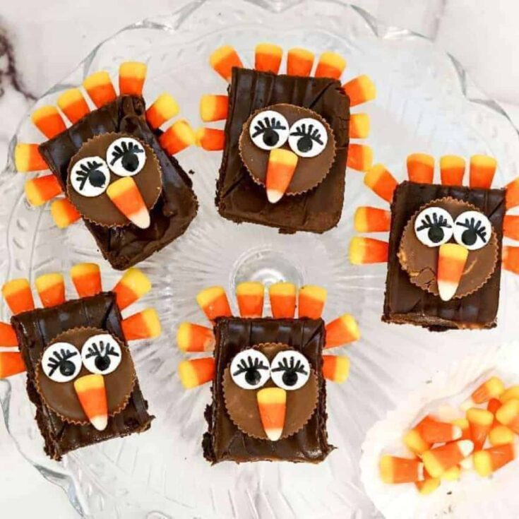 A set of Thanksgiving turkey brownies for kids baked after reading these Chocolate Thanksgiving Desserts