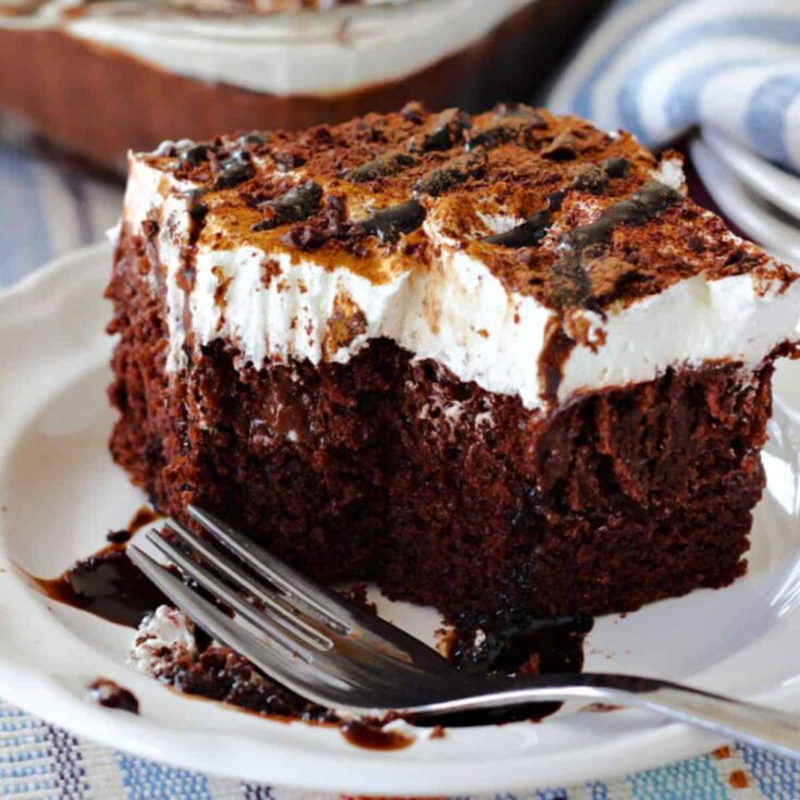 A plate of easy Mexican hot chocolate poke cake baked after reading these Chocolate Thanksgiving Desserts