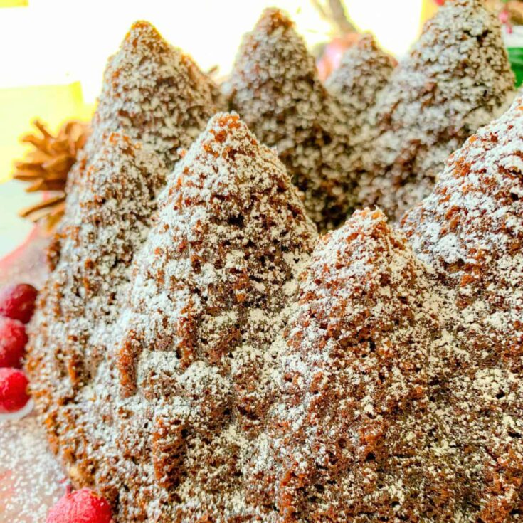Gingerbread stout cake, topped with powdered sugar, baked after reading these Christmas Bundt cake recipes