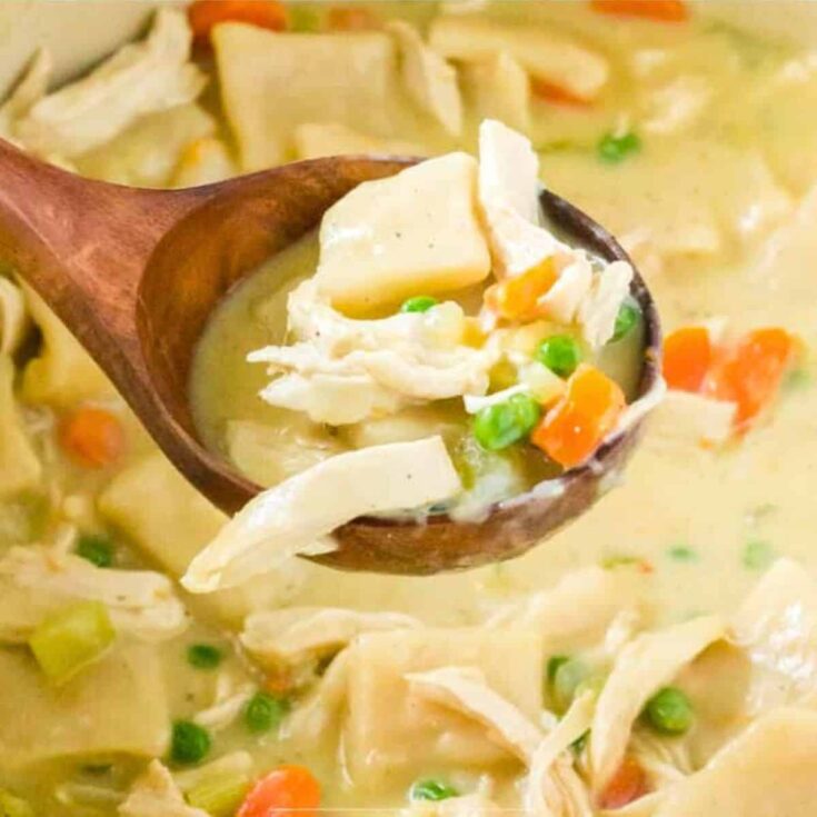 A scoop of old-fashioned Southern chicken and dumplings cooked after reading these Comfort food recipes