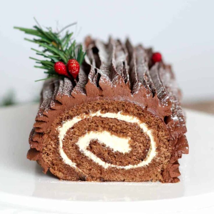 Vegan Yule log cake baked after reading these Christmas chocolate cake recipes
