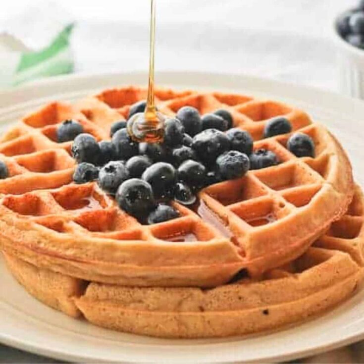 Dairy free coconut waffles topped with blueberries, made after reading these Wonderful waffle recipes