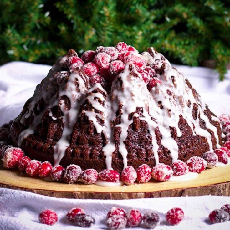 Gingerbread Bundt cake with sugared cranberries baked after reading these Christmas cake recipes