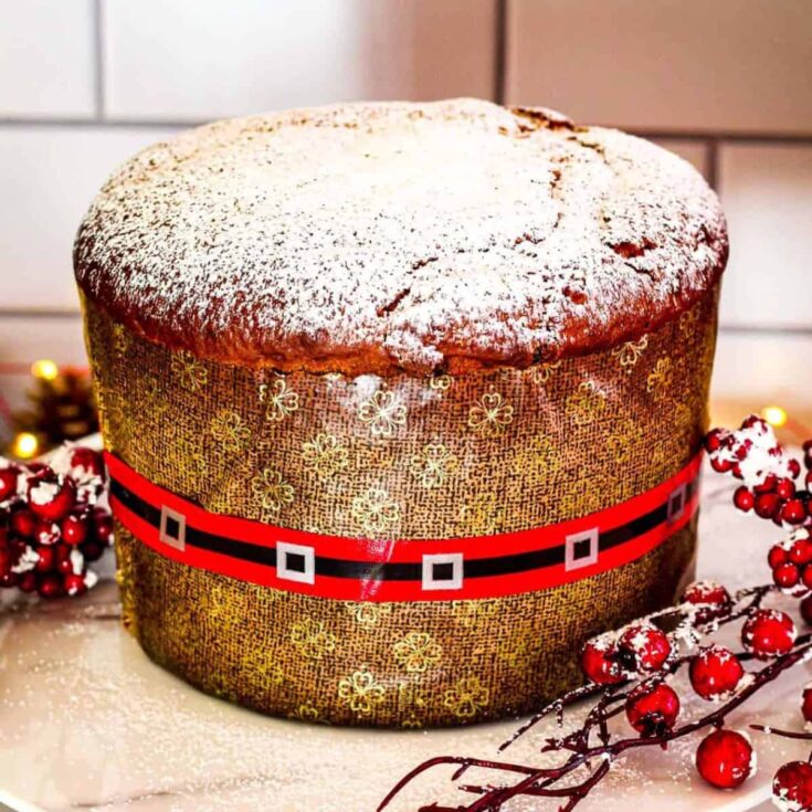 Panettone with raisins and candied fruits baked after reading these Christmas cake recipes