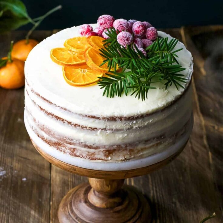 Tangerine layer cake with cranberry and tangerine slices on top baked after reading these Christmas cake recipes