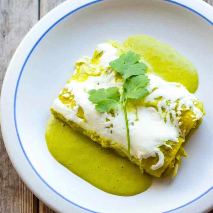 A plate of chicken enchiladas Suizas verdes made after reading these Cinco de Mayo dinner recipes