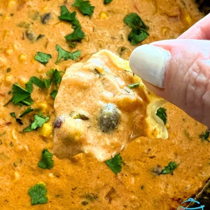 Slow cooker cheesy fiesta dip made after reading these Mexican appetizers for Cinco de Mayo