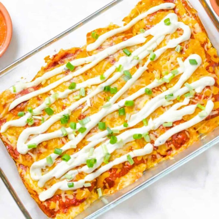 Sour cream chicken enchilada casserole made after reading these Cinco de Mayo dinner recipes