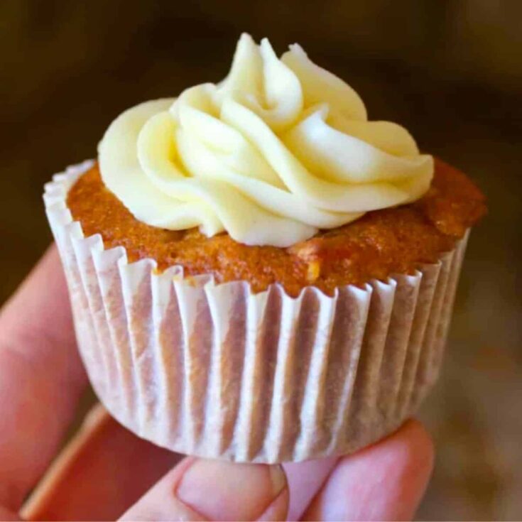 Pumpkin carrot cupcakes&nbsp;made after reading these Fresh pumpkin recipes